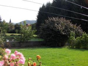 Gîte familial aux Vosges avec jeux pour enfants, à proximité de la nature et activités sportives - FR-1-589-111