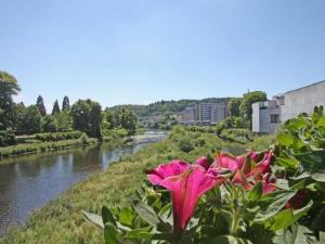 Maisons de vacances Gite Epinal, 4 pieces, 6 personnes - FR-1-589-82 : photos des chambres