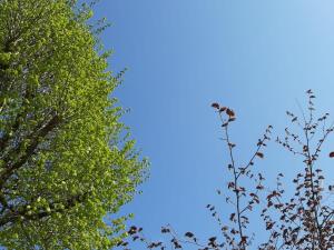 Charmant studio dans ferme avec terrasse et parking - montagnes des Vosges - FR-1-589-164