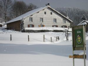 Gîte de montagne rénové avec poêle à bois - Saulxures-sur-Moselotte - FR-1-589-237