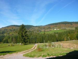 Gîte de montagne rénové avec poêle à bois - Saulxures-sur-Moselotte - FR-1-589-237