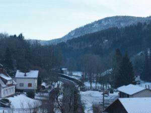 Chalet cosy en bordure de forêt avec wifi, terrasse et équipements complets à Rochesson - FR-1-589-235