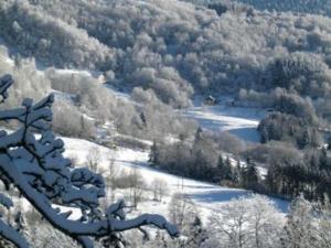 Maison montagnarde rénovée avec cheminée et randonnées - FR-1-589-281