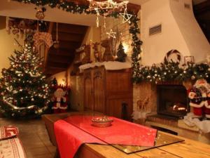 Gîte chaleureux à Provenchères-sur-Fave, nature et confort - FR-1-589-224