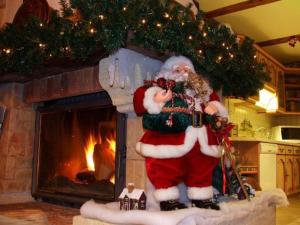 Gîte chaleureux à Provenchères-sur-Fave, nature et confort - FR-1-589-224