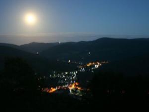 Maison indépendante avec jardin, terrasse et cheminée à Saulxures-sur-Moselotte - FR-1-589-339