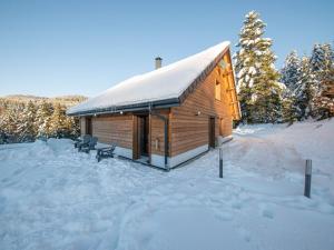 Maisons de vacances Chalet familial spacieux avec SPA, salle de jeux, pres des pistes - 14 pers, Vosges - FR-1-589-366 : photos des chambres