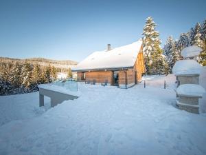 Maisons de vacances Chalet familial spacieux avec SPA, salle de jeux, pres des pistes - 14 pers, Vosges - FR-1-589-366 : photos des chambres