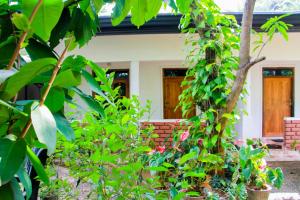 Galaxy View Homestay Sigiriya