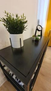 Violet apartment with Air condition