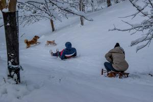 Planinarski dom Skrad