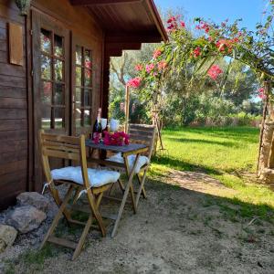 Bungalow room in Agroturismo Can Marquet