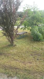 Bezbariérové ubytování na statku