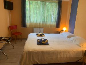 B&B / Chambres d'hotes Mes Oasis Nancy : Chambre Lits Jumeaux