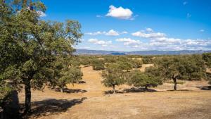 Casa Rural Obejuelo Torrecampo by Ruralidays