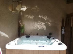 Mas en Provence avec SPA privé