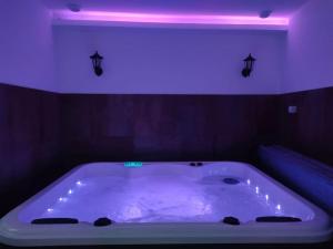 Appartements #FER REVER 63# Jacuzzi #Salle de Sport en supplement et sur demande#Musculation : Appartement 1 Chambre