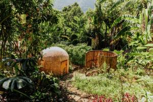 Designers Luxury Retreat with breathtaking gardens