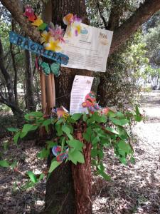 Campings BAGHEERA Village Naturiste : photos des chambres