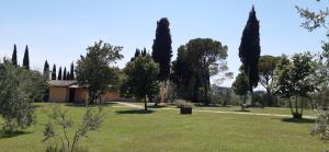 Camere con vista in Valdichiana