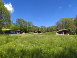 Lodges Bulle de Bois, ecolodge insolite avec spa privatif au milieu des volcans - Bulles d'Herbe : photos des chambres