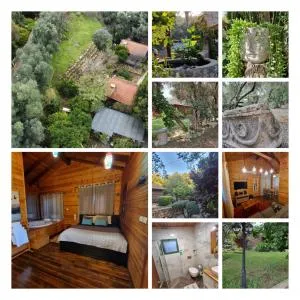 A Place To Dream - Yif‘at