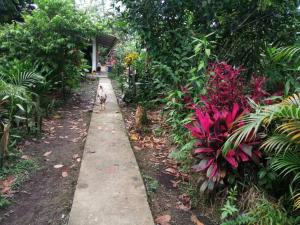 Agradable granja cerca a un río de agua fresca.