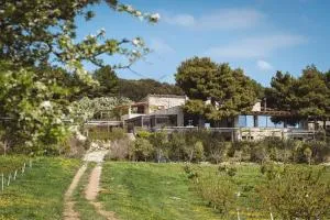 Masseria Agriturismo Torre Di Albidona - Trebisacce