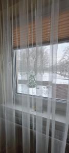 Apartamentai pas Danutę