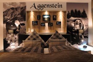 Aggenstein - Helles Studio mit Südbalkon und traumhaftem Bergpanorama in Pfronten Mitte