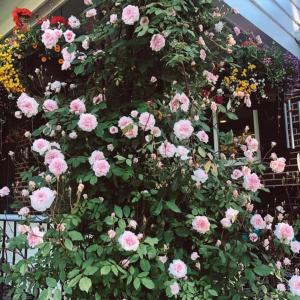 Moc Nhien Hostel Da Lat