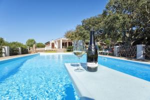 Villa Olive tree, immersa nella natura per relax e quiete img27