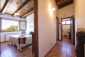 Villa Olive tree, immersa nella natura per relax e quiete img12