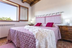 Villa Olive tree, immersa nella natura per relax e quiete img9