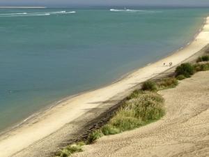 T2 cabine avec grande terrasse sans vis à vis, parking privatif, à 100m des plages - FR-1-420-47