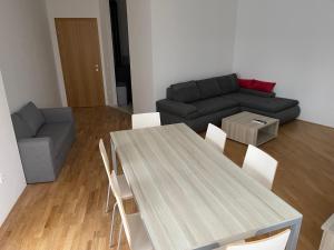 Luxury 3-room large Apartment Maribor Pohorje
