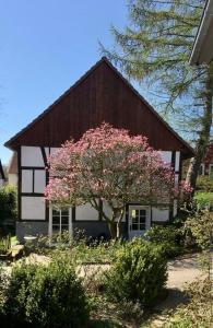 Gemütliches Ferienhaus im Extertal/ Lippe