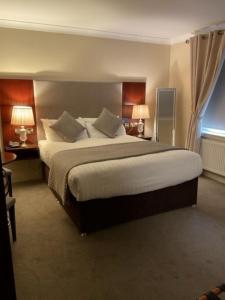Double Room room in Shamrock Inn Hotel