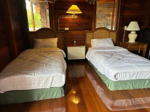 พิมพ์วนา เขาใหญ่