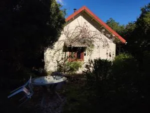 Ronit and Mario - Abirim