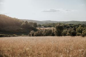 Campings Domaine St-Amand : photos des chambres