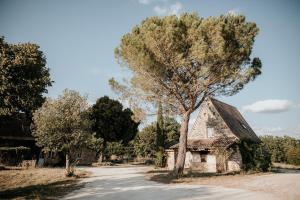 Campings Domaine St-Amand : photos des chambres