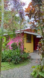 Cabinas Algebra - Unrated properties in Cahuita