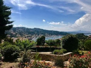 Appartements Les Hibiscus : photos des chambres