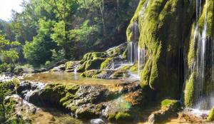 Appartements GITES des FLANDAINES : photos des chambres