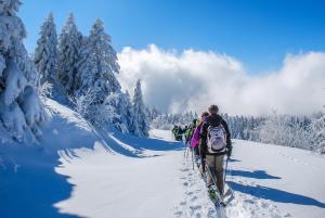 Appartements GITES des FLANDAINES : photos des chambres