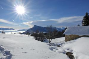 Appartements GITES des FLANDAINES : photos des chambres