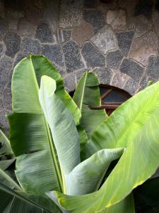 Casa Qatzij - Guest House, Lake Atitlan