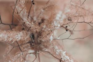 Appartements Höllhaus