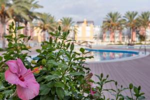 Casa Antonia con jacuzzi privado y solarium